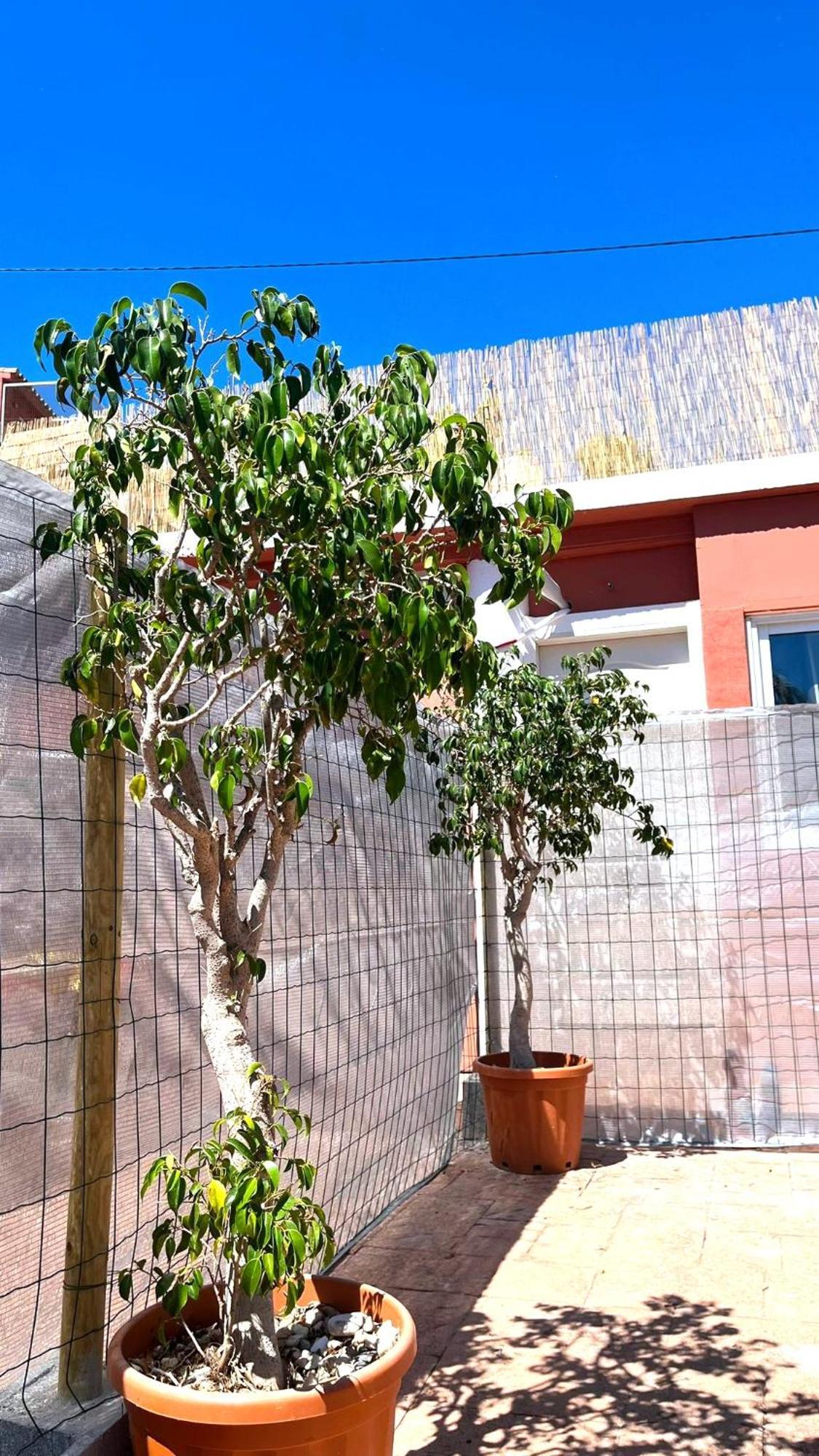 Apartamento Leyda En Marbella Ngoại thất bức ảnh